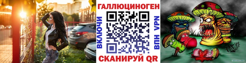 Псилоцибиновые грибы Psilocybine cubensis  Полесск 